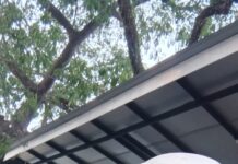 Latifah, Jurnalis GeberNews.com dari Medan Denai yang Konsisten Meniti Karier Media Online