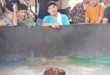 Ironi Operasi Pekat di Medan: Judi Sabung Ayam Gang Sejati Diduga Kebal Hukum di Wilayah Polsek Medan Tuntungan