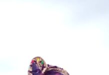 Bhayangkara di Garis Pengabdian: Menjaga Negeri tak kenal waktu