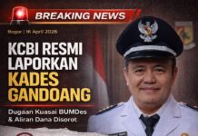 Minta Usut Tuntas, KCBI Laporkan Dugaan Penyimpangan Anggaran BUMDes Gandoang ke Kejari Bogor