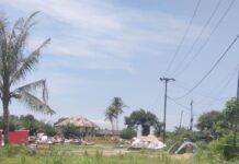 Surat Resmi Terbit, DPW P2BMI Sumut Desak Polisi Hentikan Pasar Malam di Lahan Sengketa