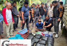 Polrestabes Medan Gagalkan 1.500 Vape Narkoba, 2 Kg Sabu dan 24 Ribu Ekstasi: Sindikat Malaysia–Indonesia Mulai Terkuak