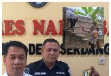 Door Stop Kasat Res Narkoba Polresta Deli Serdang: Mei 2026 Ungkap 28 Kasus, Sita 860 Gram Sabu hingga 40 Batang Ganja