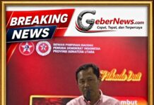 DPC Pemuda Demokrat Kota Medan: Walikota Diminta Antisipasi Dampak Gejolak Ekonomi terhadap Masyarakat