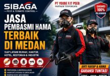 Jasa Anti Rayap, Tikus, Kecoa, Semut dan Nyamuk Profesional di Medan, Sibaga Pest & Termite Control Jadi Andalan Warga Sumut
