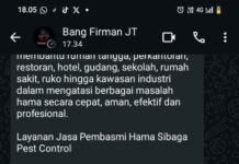 Jasa Anti Rayap, Tikus, Kecoa, Semut dan Nyamuk Profesional di Medan, Sibaga Pest & Termite Control Jadi Andalan Warga Sumut