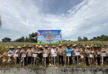 Polres Sergai Panen Raya Jagung, Perkuat Sinergi Ketahanan Pangan Nasional