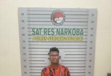 Polres Sergai Gerebek Sarang Narkoba di Perbaungan, Seorang Diduga Pengedar Shabu Dibekuk