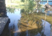 Pekuburan Umum Kelurahan Mangga Berubah Jadi Danau, Warga Tak Bisa Ziarah dan Khawatir Makam Hilang Ditelan Genangan