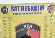 Sempat Buron, Polres Sergai Berhasil Amankan Pelaku Pencabulan Anak di Sergai saat Lansir Sawit