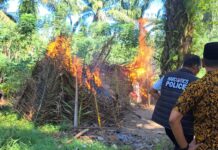 Respons Cepat, Polres Sergai Bersama Unsur Kecamatan Gelar Grebek Sarang Narkoba di Dolok Masihul