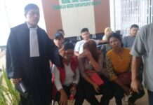 Rekam Jejak Hukum Martogi Br Sinaga Disorot, Dari Kasus Penipuan hingga Dugaan Provokasi Video Viral