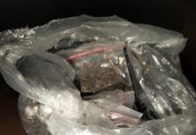 Satres Narkoba Polres Sergai Tangkap Pengedar Ganja di Sei Bamban