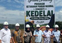 PTPN IV PalmCo Matangkan Pilot Project Kedelai Dukung Percepatan Swasembada Pangan Nasional