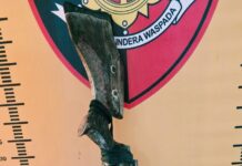 Ungkap Kasus dan Penangkapan DPO Pelaku Penembakan Security Kebun PTPN IV Sarang Giting