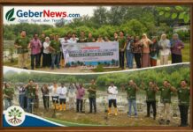 Tekan Jejak Karbon, JAPFA Group Tanam 2.000 Mangrove di Pesisir Serdang Bedagai