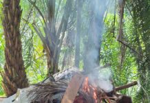 Sat Narkoba Polres Sergai Gerebek Sarang Narkoba di Sungai Buaya, Seorang Pria Diamankan