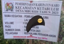 Izin Pemotongan Kayu di Kuta Pengkih Disinyalir Sarat Kepentingan, LSM TKN Siapkan Pengaduan