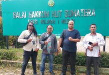 Penanganan Illegal Logging Asahan Dipertanyakan, GRPK Tantang Gakkum Kehutanan Tuntaskan Kasus