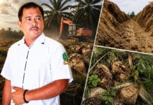 BOPPAN RI Desak PTPN IV Periksa Dugaan Ketidaksesuaian Replanting dan Parit Isolasi Afdeling 5 Bah Jambi