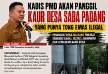 Kadis PMD Madina Panggil Kaur Desa Saba Padang Terkait Dugaan Kelola Tong Emas Ilegal