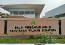 1.677 Batang Kayu Diamankan, GRPK Soroti Lambannya Penanganan dan Desak Gakkum Ungkap Aktor Intelektual