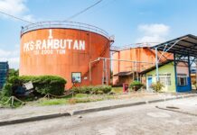 PTPN IV PalmCo Akselerasi Sertifikasi Keberlanjutan, Premium Price Tumbuh Pesat