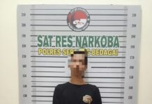 Nyamar Jadi Pembeli, Polisi Gerebek Sarang Sabu di Kebun Sawit Sergai: RH Dibekuk, Gubuk Transaksi Dibakar!